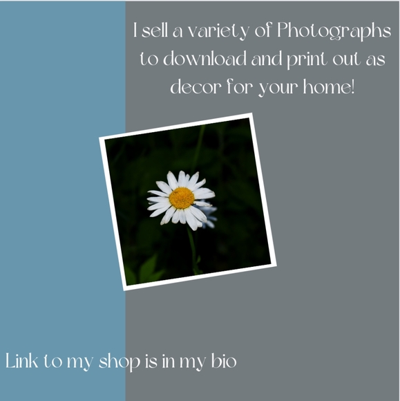 FOLLOW MY ETSY SHOP IN MY BIO - Picture 3 of 9